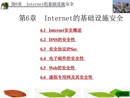 第6章 Internet的基础设施安全 6.1 Internet安全概述 6.2 DNS的安全性 6.3 安全协议IPSec