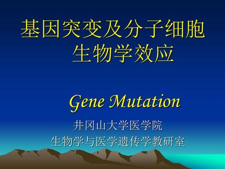 基因突变及分子细胞生物学效应 Gene Mutation