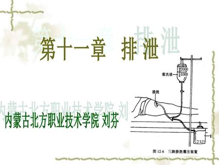 第十一章 排 泄 内蒙古北方职业技术学院 刘芬.