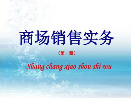 商场销售实务 （第一章） Shang chang xiao shou shi wu.