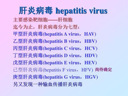 肝炎病毒 hepatitis virus 主要感染靶细胞——肝细胞 迄今为止，肝炎病毒分为七型：