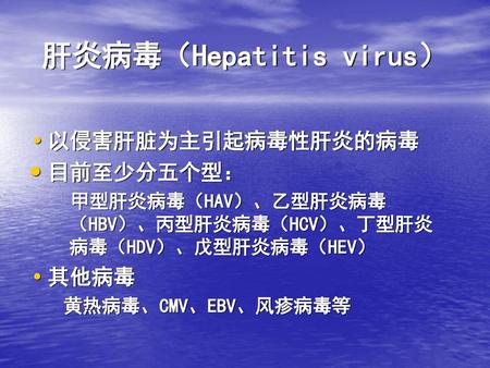 肝炎病毒（Hepatitis virus）