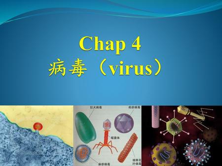 Chap 4 病毒（virus）.