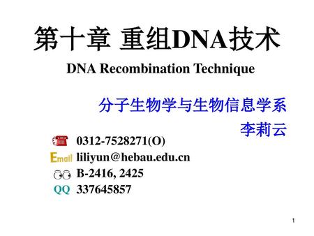 第十章 重组DNA技术 DNA Recombination Technique