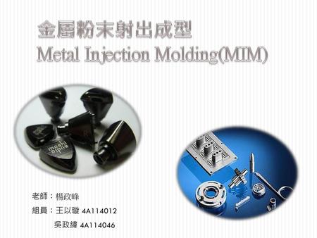 Metal Injection Molding(MIM)
