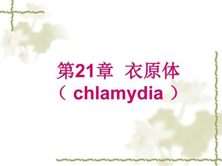 第21章 衣原体 （ chlamydia ）.