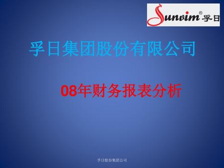 孚日集团股份有限公司 08年财务报表分析 孚日股份集团公司.