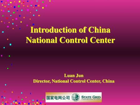 National Control Center Director, National Control Center, China
