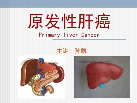 原发性肝癌 Primary liver Cancer