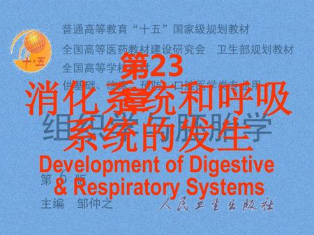 Development of Digestive
