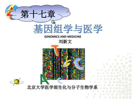第十七章 基因组学与医学 GENOMICS AND MEDICINE 刘新文 北京大学医学部生化与分子生物学系.