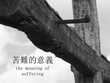 苦難的意義 the meaning of suffering