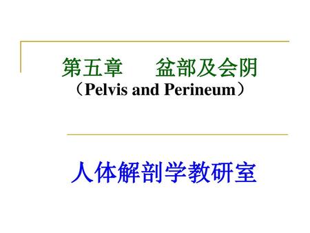 第五章 盆部及会阴 （Pelvis and Perineum）