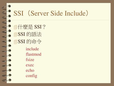 SSI（Server Side Include）
