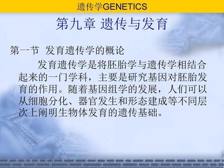 遗传学GENETICS 第九章 遗传与发育 第一节  发育遗传学的概论