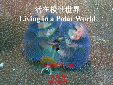 活在极性世界 Living in a Polar World 物理所三八专题 曹 则 贤 2009.03.05.