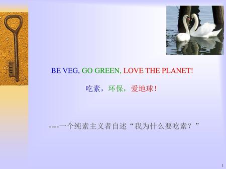 BE VEG, GO GREEN, LOVE THE PLANET! 吃素，环保，爱地球！