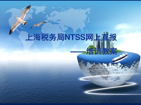 上海税务局NTSS网上直报 ——培训教案.