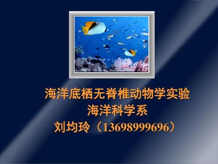 海洋底栖无脊椎动物学实验 海洋科学系 刘均玲（13698999696）.