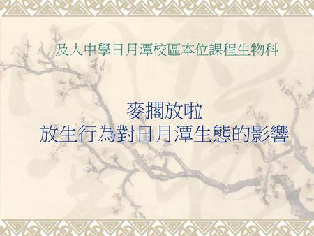 及人中學日月潭校區本位課程生物科 麥擱放啦 放生行為對日月潭生態的影響.