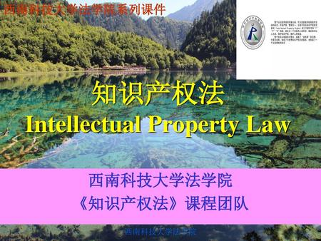 知识产权法 Intellectual Property Law