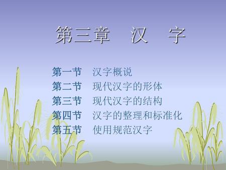 第一节 汉字概说 第二节 现代汉字的形体 第三节 现代汉字的结构 第四节 汉字的整理和标准化 第五节 使用规范汉字