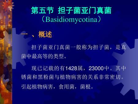 第五节 担子菌亚门真菌 （Basidiomycotina）
