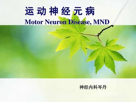 运 动 神 经 元 病 Motor Neuron Disease, MND