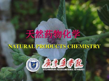 天然药物化学 NATURAL PRODUCTS CHEMISTRY