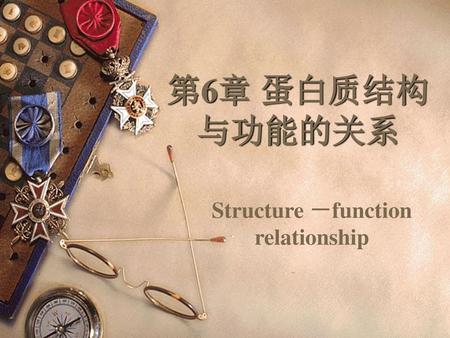 Structure －function relationship