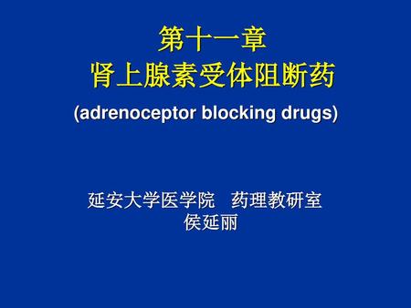 第十一章 肾上腺素受体阻断药 (adrenoceptor blocking drugs) 延安大学医学院 药理教研室 侯延丽.