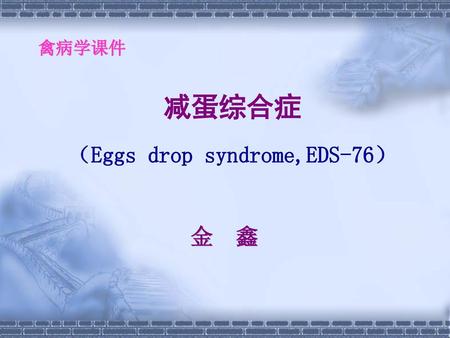 减蛋综合症 （Eggs drop syndrome,EDS-76）