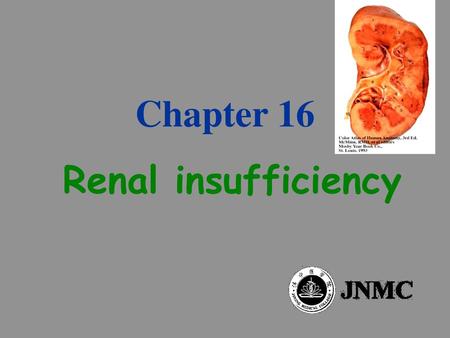 Chapter 16 Renal insufficiency.