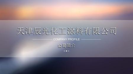 天津辰光化工涂料有限公司 COMPANY PROFILE 公司简介.