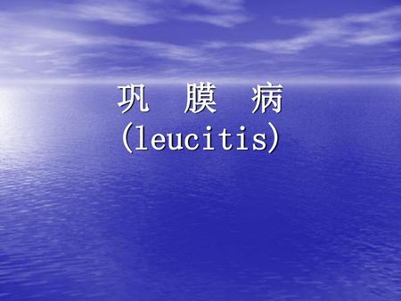 巩 膜 病 (leucitis).