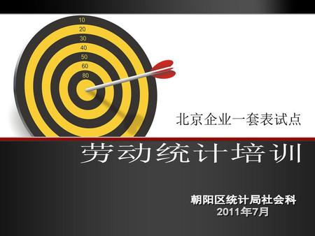 北京企业一套表试点 劳动统计培训 朝阳区统计局社会科 2011年7月.