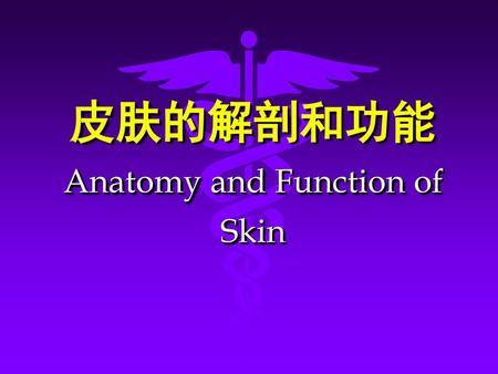 皮肤的解剖和功能 Anatomy and Function of Skin