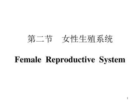 第二节 女性生殖系统 Female Reproductive System