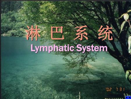 淋 巴 系 统 Lymphatic System.