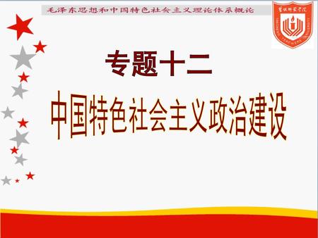 专题十二 中国特色社会主义政治建设.