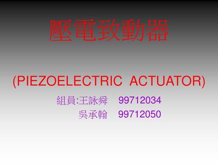 壓電致動器 (PIEZOELECTRIC ACTUATOR)