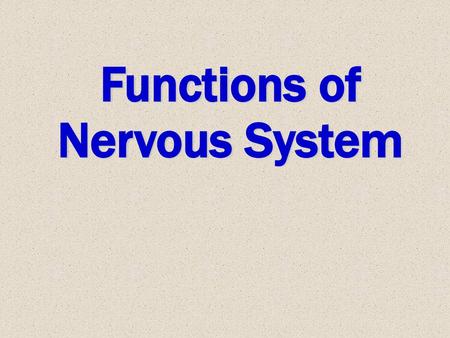 Functions of Nervous System