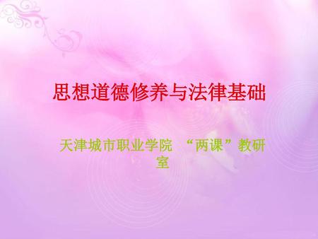 思想道德修养与法律基础 天津城市职业学院 “两课”教研室.