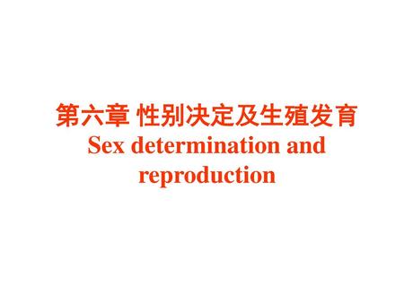 第六章 性别决定及生殖发育 Sex determination and reproduction