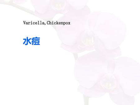 Varicella,Chickenpox 水痘.
