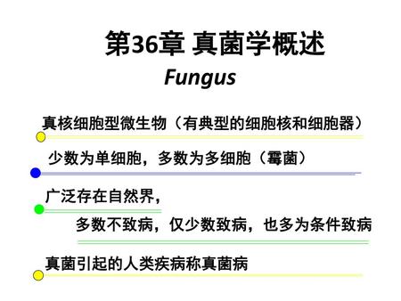 第36章 真菌学概述 Fungus 真核细胞型微生物（有典型的细胞核和细胞器） 少数为单细胞，多数为多细胞（霉菌） 广泛存在自然界，