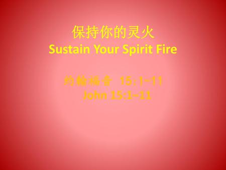 Sustain Your Spirit Fire
