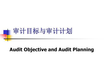 Audit Objective and Audit Planning