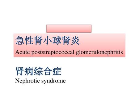 急性肾小球肾炎 Acute poststreptococcal glomerulonephritis