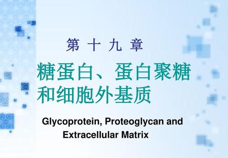 糖蛋白、蛋白聚糖 和细胞外基质 Glycoprotein, Proteoglycan and Extracellular Matrix